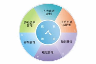 深圳辦理人力資源服務許可證全指南 條件、部門與流程